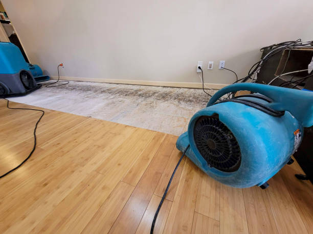 Professional Structural Drying technician working in Sandusky, OH